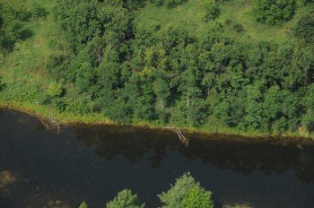Property photo 35 - 1,025 Acres in 24 Tracts - Exellent Recreation Opportunity - Potential Building Sites - 11 Lakes & Ponds